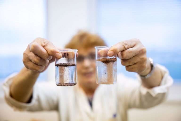 Pesthy Márton -PES_9075 -20250926